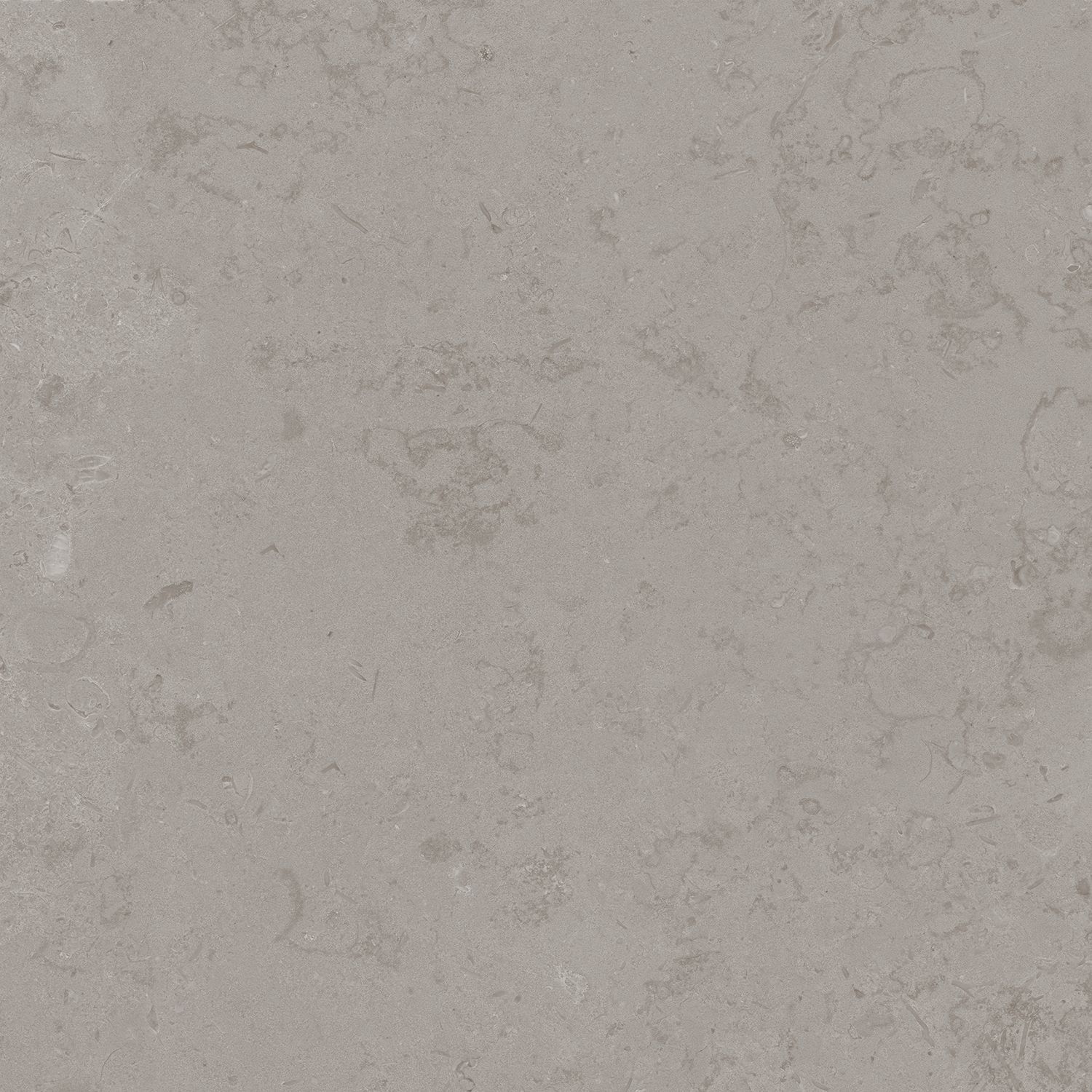 Керамогранит DD640920R Про Лаймстоун серый натуральный обрезной 60x60x0,9, Kerama Marazzi (Керама Марацци)