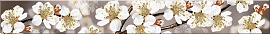Бордюр 584191002 Amati (Амати) Sakura коричневый 50,5х6,2, Azori (Азори)