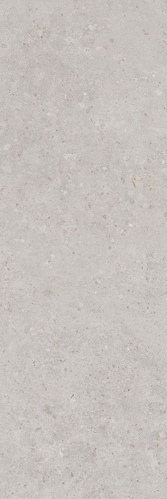 Плитка 14053R Риккарди серый светлый матовый обрезной 40x120x1, Kerama Marazzi (Керама Марацци)