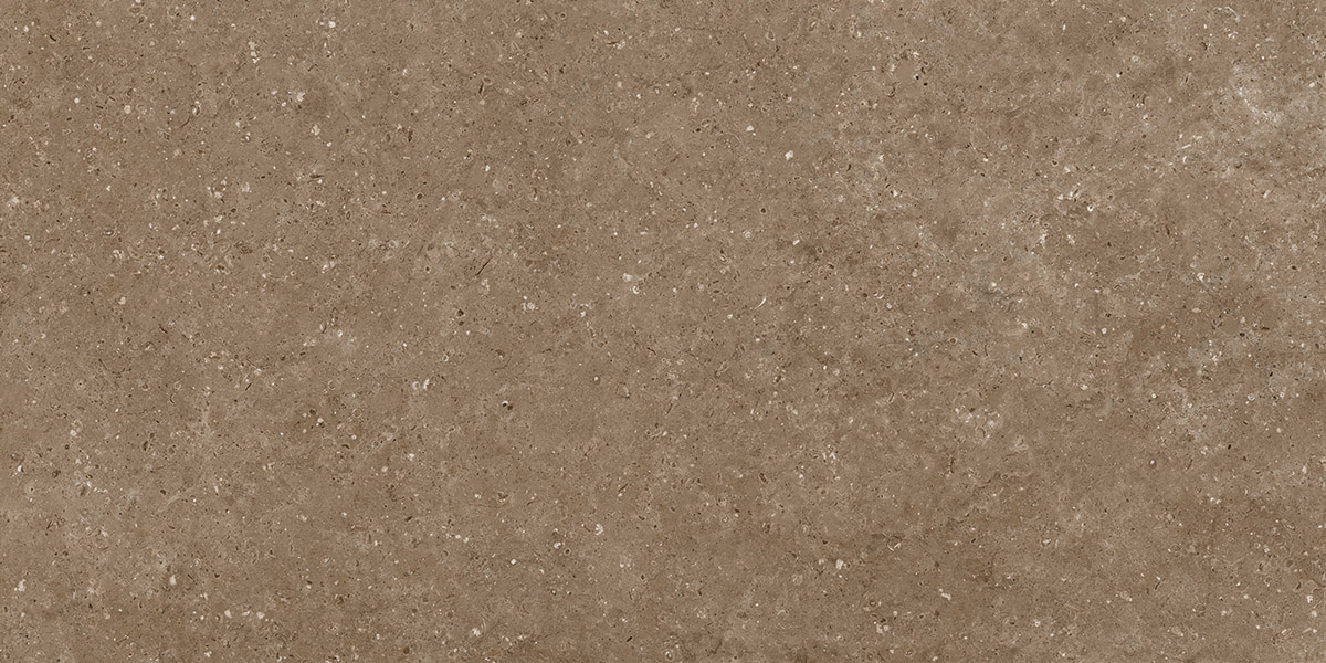  Керамогранит Гранитея G214 Arkaim (Аркаим) Brown 120х60 матовый