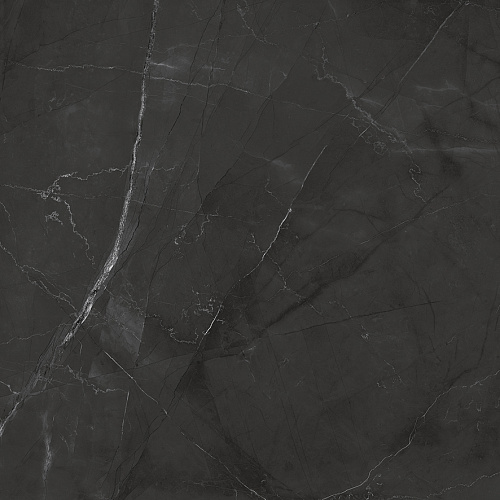 Керамогранит LP6060G0041R Timeless Grafite матовый 59,5х59,5, Laparet
