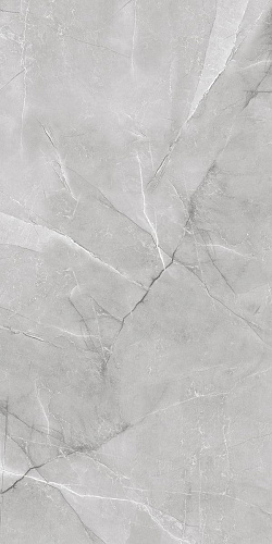 Керамогранит AB 1142G Armani Silver полированный 60х120, Absolut Gres