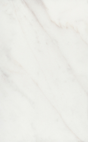 Плитка 6343 Гран Пале белый глянцевый 25x40x0,8, Kerama Marazzi (Керама Марацци)